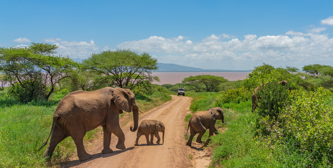 Parc national de Tarangire  